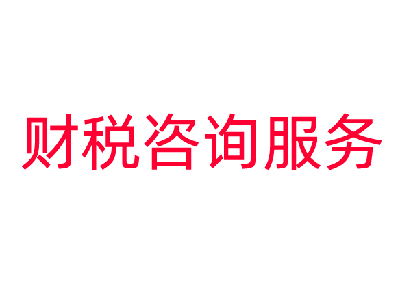 财税咨询服务