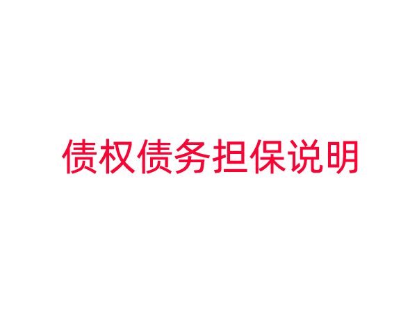 债权债务担保说明模版